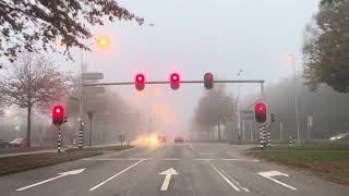 Winter starts in Netherlands netherlands fog viralvideo [upl. by Secor]