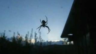 Time Lapse  Sunrise for the 7legged spider [upl. by Magavern]