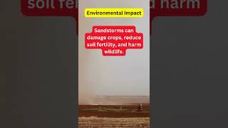 Facts about Sandstorm in the Middle East Environmental Impact shorts [upl. by Ibib]