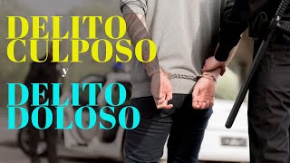 DELITO DOLOSO Y DELITO CULPOSO  VOCABULARIO JURÍDICO Y JUDICIAL  CONTACTO ABOGADO [upl. by Ailimac]