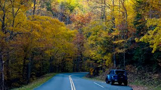 Scenic Drives Through the Smoky Mountains in Fall 🍂🍁fallcolors smokymountains fall drive 🍁 [upl. by Sunev]