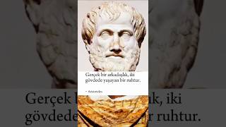 Aristoteles Gerçek bir arkadaşlıkfelsefeshorts [upl. by Nytsirhc]