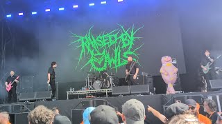 Raised By Owls  Break Stuff Limp Bizkit coverLive at Bloodstock 2024 [upl. by Namyw]