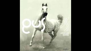 Gus Gus  Arabian Horse [upl. by Refotsirc]