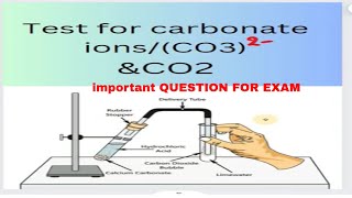 How to test Carbonate scienceexperiment chemicalreaction carbonatetest science co2chemisrty [upl. by Cha902]