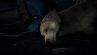 Days Gone  Dog Death Scene Sad Moment [upl. by Adalheid]