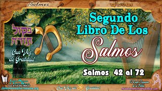 Segundo libro de los salmos 42 al 72 Salmos cantados [upl. by Chyou886]