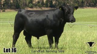 Lot 016 Landfall Rostella TFA22T216 [upl. by Kippy200]