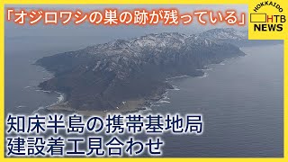 北海道知床半島・知床岬の携帯基地局建設計画 着工見合わせに 「オジロワシ営巣」ついて専門家の指摘受け [upl. by Glendon]