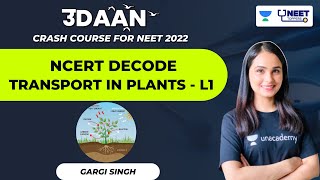 Transport in Plants  Means of Transport  L1  NEET 2022  Dr Gargi Singh [upl. by Edbert63]