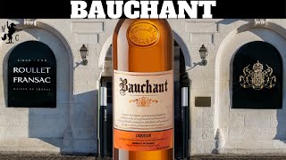 Bauchant Liqueur Review Orange [upl. by Alyose920]