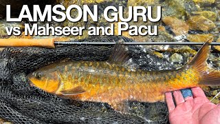 Testing New Lamson Guru fly rod plus Sharing Fishing Tips for Sabah Mahseer and Pacu in EAK [upl. by Mariellen265]