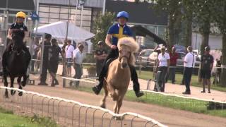 Þorvaldur Árnason P1 WC Icelandic Horses IslandpferdeWM VM Islandshästar 2015 [upl. by Richy660]