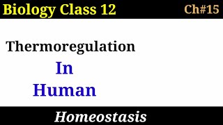 Thermoregulation in human Class 12 Biology  Homeostasis [upl. by Uos]