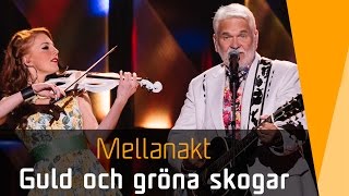 Hasse Andersson – Guld och gröna skogar  Melodifestivalen 2016 [upl. by Laekim]