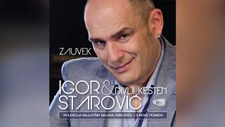 Igor Starovic amp Divlji Kesten  Zauvek   Official Audio 2013  HD [upl. by Bohi]