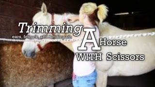 Trimming a Horse with Scissors  Ears Fetlocks and Bridlepath [upl. by Januarius]