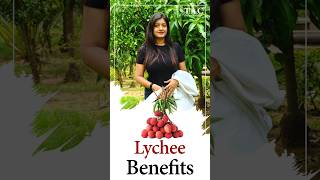 Lychee Benefits  लीची फायदे  Health benefits of Litchi [upl. by Eimmas]