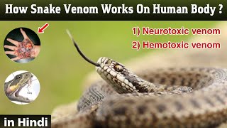 How to snake venom works on human body  venom injection systems  in Hindi [upl. by Atokad]