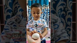 dustu kokil dj song  Ifraz হল shocked  baby chicken থেকে egg youtubeshorts funny shorts [upl. by Silvana]