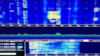 SDRplay RSP as a panadapter synchronised with Kenwood TS590 [upl. by Aerdnaxela212]