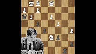 Bobby Fischers legendary brilliant move chess chessgame bobbyfisher chesscom viralvideo [upl. by Shoshanna140]