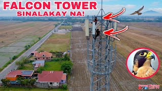 EP612  FALCON TOWER INAKYAT NG DALAWA [upl. by Daley562]