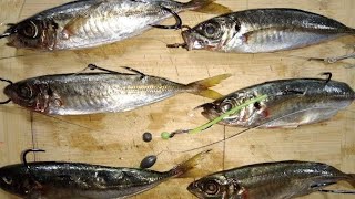 Different ways on how to SET UP BAIT for fishing  How and when to use these baits [upl. by Hilton663]