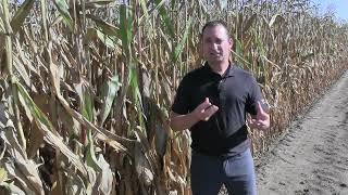 New herbicide extends residual control for corn growers [upl. by Lordan]