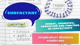 pulmonary surfactant physiology  respiratory distress syndrome  respiratory system physiologyMBBS [upl. by Riabuz602]