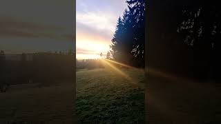 ilmenau nature thüringen mountains travel music song Guten Morgen [upl. by Rosemary]