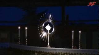 Adoration in Medjugorje 31072011 [upl. by Greene793]