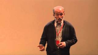 Transit of Venus A Story with Two Endings  Reza Mansouri  TEDxUniversityofTehran [upl. by Nnylecyoj21]