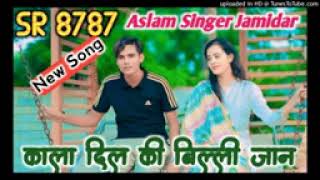 SR 8787 Aslam Singer Jamidar  New Audio Video Song  SM Mewati 🙏 [upl. by Ayal]