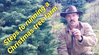 Running a Christmas Tree Farm A brief overview [upl. by Sunshine]