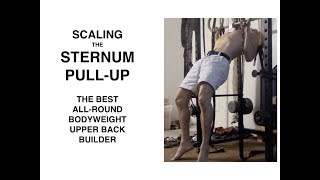 How To Scale Gironda Sternum Pull Ups The King of Bodyweight Upper Back Exercises [upl. by Akemak994]