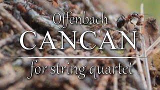 Offenbach  Cancan for string quartet [upl. by Ciredor]