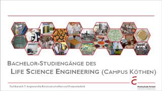 Biotechnologie Lebensmitteltechnologie Pharmatechnik amp Verfahrenstechnik I Hochschule Anhalt [upl. by Rolyak]