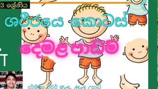 3 වසර දෙමළ පාඩම ශරීරයේ කොටස් 3 wasara demala padama shariraye kotas [upl. by Nolyag]