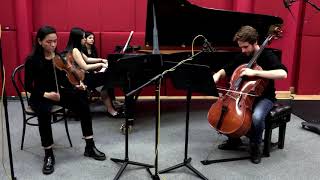 Cerberus Trio playing Astor Piazzollas Oblivion arr by Jose Bragato [upl. by Gardiner725]