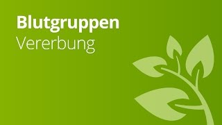 Blutgruppen AB0 und Rhesusfaktor und ihre Vererbung  Biologie  Genetik und Entwicklungsbiologie [upl. by Helm]