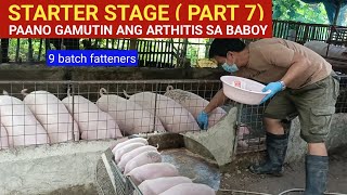 Starter stage Part 7 Paano gamutin ang arthritis ng baboy l 9 batch fatteners l Dodong Villaran [upl. by Kalina]