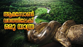 Journey to Amazon Forest  AmazonThe Biggest Rainforest in the World ആമസോൺ വനത്തിലേക്ക് ഒരു യാത്ര [upl. by Kresic373]