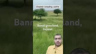 Inside Asia’s Largest Grassland A Journey Through Banni [upl. by Derek131]