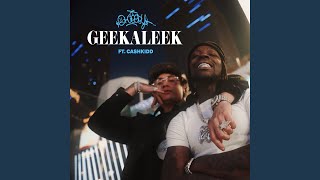 GEEKALEEK Sped Up Version [upl. by Oiludbo]