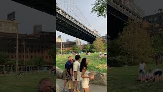 picknick under themanhattan bridge in dumbo brooklyn nyc [upl. by Nauqat]