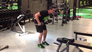 2 Arm Dumbbell Tricep Kickback With Twist [upl. by Adnawad491]