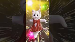 Super Cat Dance Cittens cat comedy reels catvideos meow dance [upl. by Stelmach742]