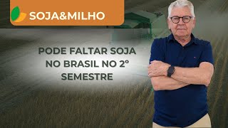 SOJA amp MILHO PODE FALTAR SOJA NO BRASIL NO 2º SEMESRE [upl. by Layman]