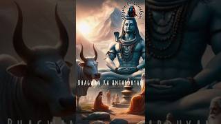 devotional love bhakti mahadev shiv shivshankar mahakal spirituality trending shorts like [upl. by Sergio]